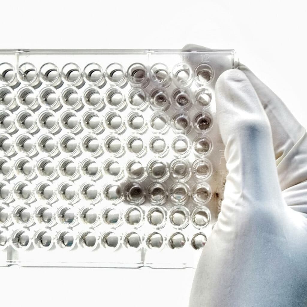 Systemic injection cytotoxicity testing. What is systemic injection testing. Biological reactivity. Close picture of a hand in white gloves holding an in-vitro cell module for testing. Cytotoxicity for medical devices and drugs