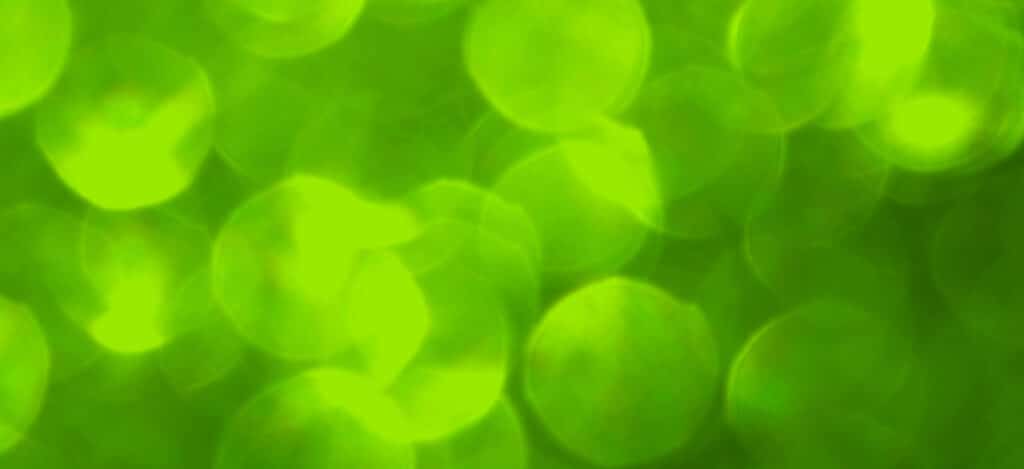 Illustration of mycoplasmas in a green background. What is mycoplasma. Where are mycoplasma contaminants found. Mycoplasma contaminants. How to remove mycoplasma from sterile products. Mycoplasma filtration validations. Mycoplasma contaminants in sterile products. Mycoplasma contaminants for sterilization