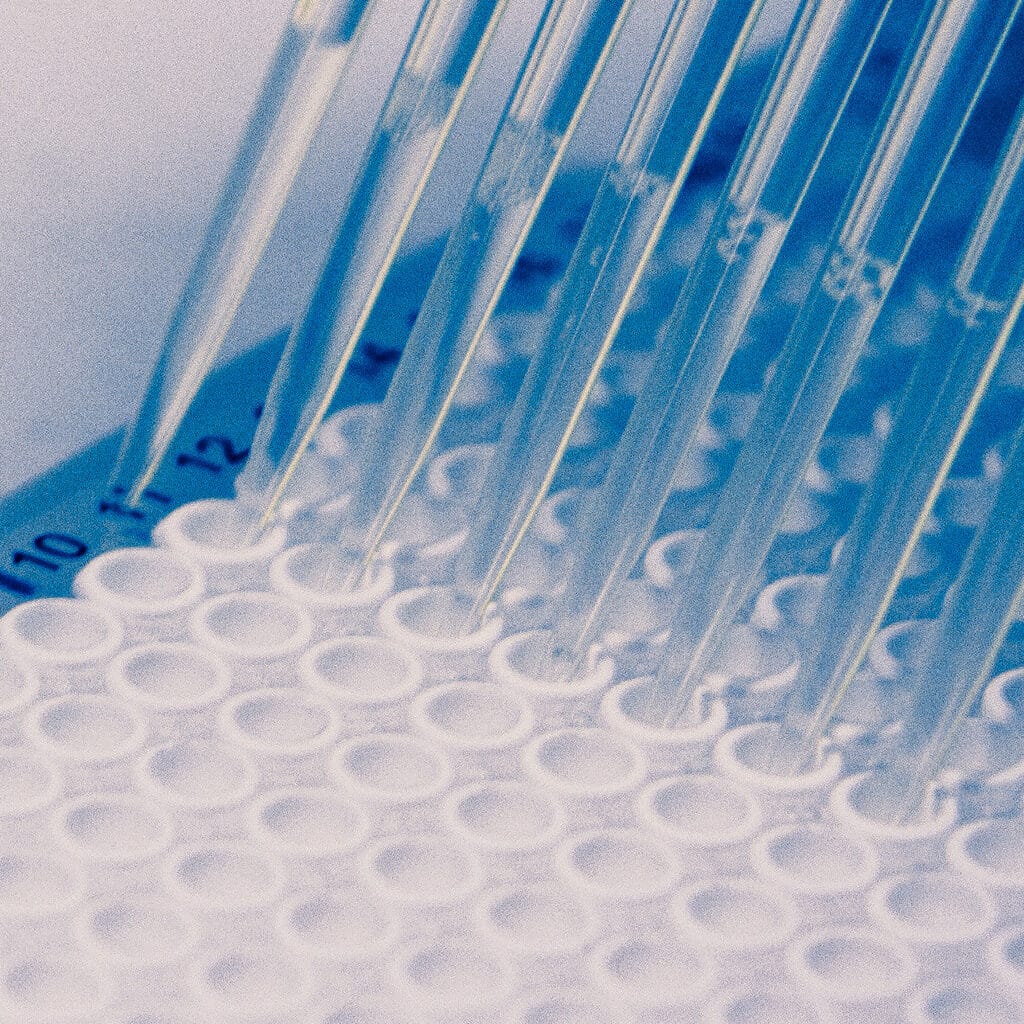 Close picture of a group of pipettes and 96 well plate. How do you perform endotoxin tests. How do you perform pyrogen tests. How are medical device extracts prepared. What are endotoxin limits for medical devices. Endotoxin limits for extracting solutions. In-vivo pyrogenicity testing. Usp 151 pyrogen testing