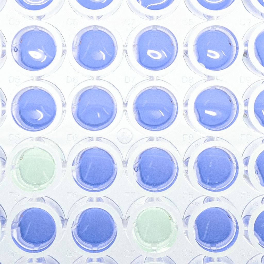 Ethide Laboratories - USP 88 In-Vivo Cytotoxicity Testing